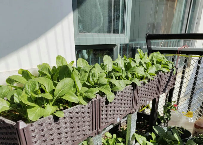 陽臺怎么裝修好看又實用 陽臺怎么裝修好看又實用