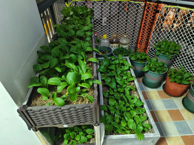 陽臺怎么裝修好看又實用 陽臺怎么裝修好看又實用