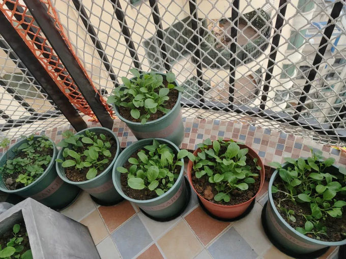 陽臺怎么裝修好看又實用 陽臺怎么裝修好看又實用