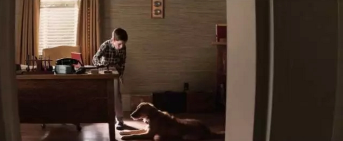 看電影.學(xué)裝修：因?yàn)橛心?，所以有意義