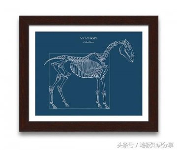 給大家曬曬很酷的家裝擺件！