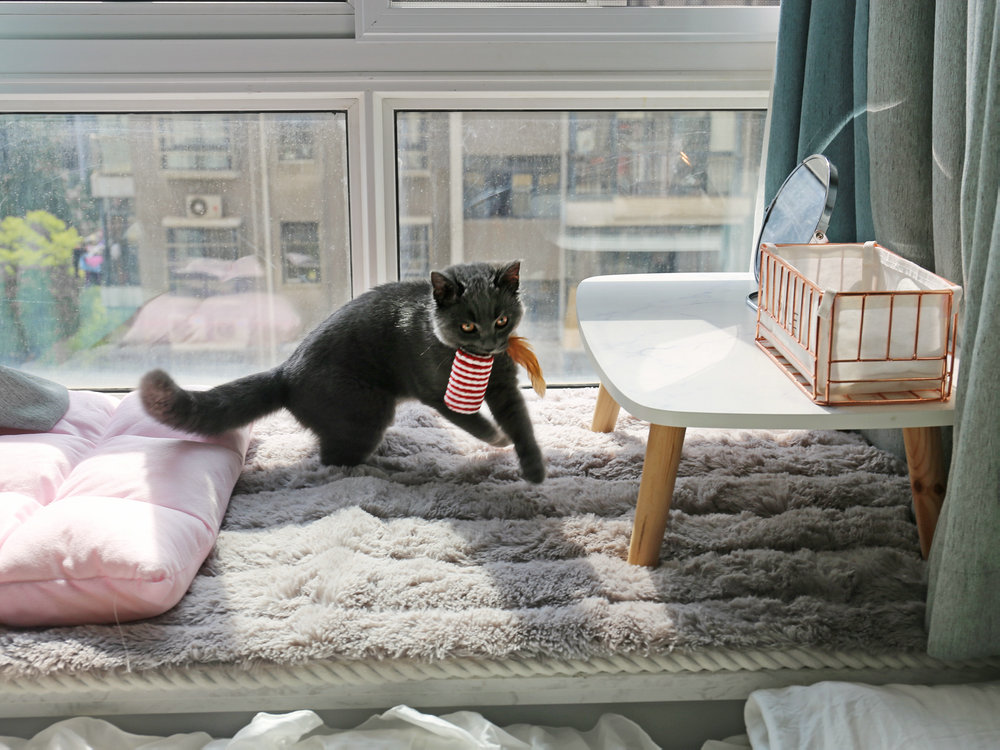 三里民居北歐輕奢風格裝修效果圖