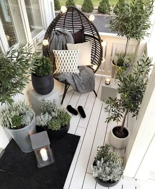 家居綠植什么最好 家居綠植什么最好