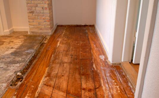 家居保養(yǎng)攻略：春季雨水多家居易發(fā)霉如何解決？